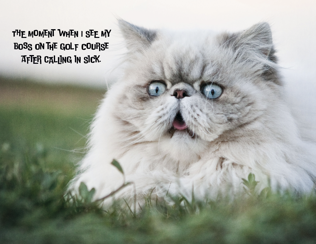 Good Value Pets with Attitude Stapled Calendar-7286