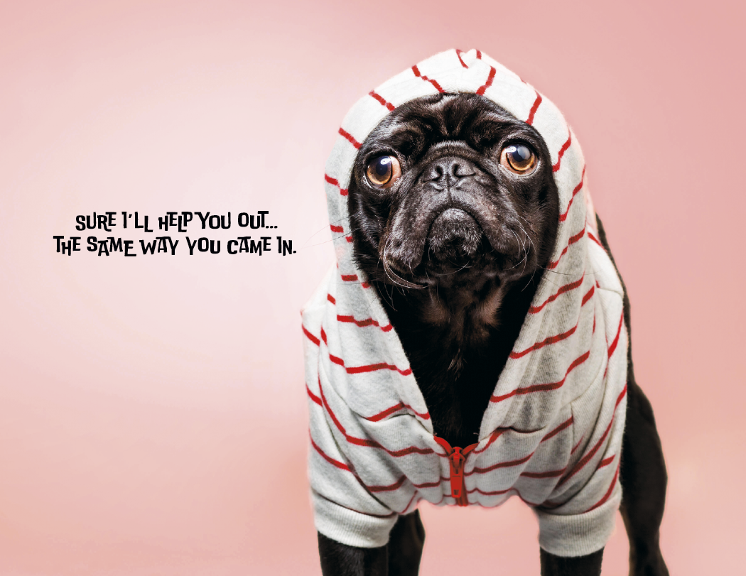 Good Value Pets with Attitude Stapled Calendar-7286