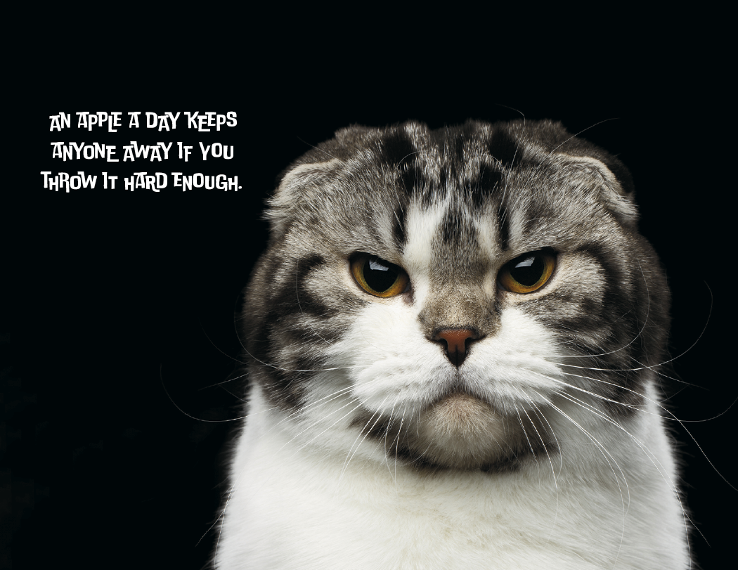 Good Value Pets with Attitude Stapled Calendar-7286