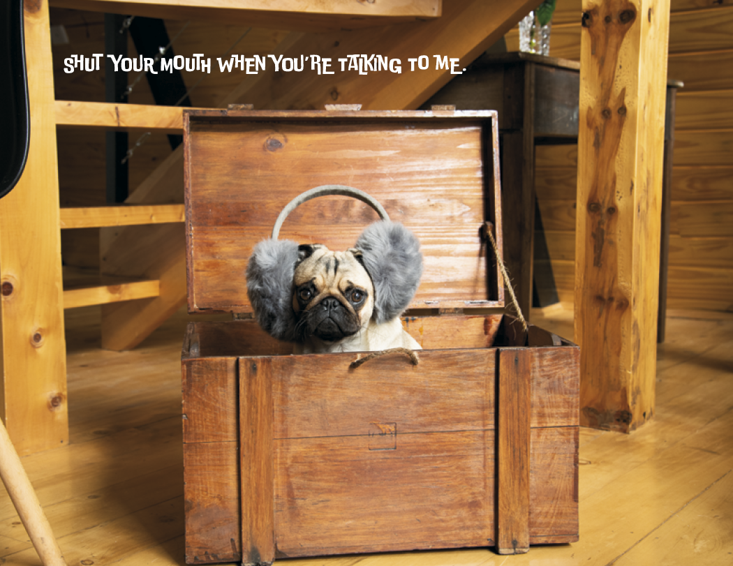 Good Value Pets with Attitude Stapled Calendar-7286