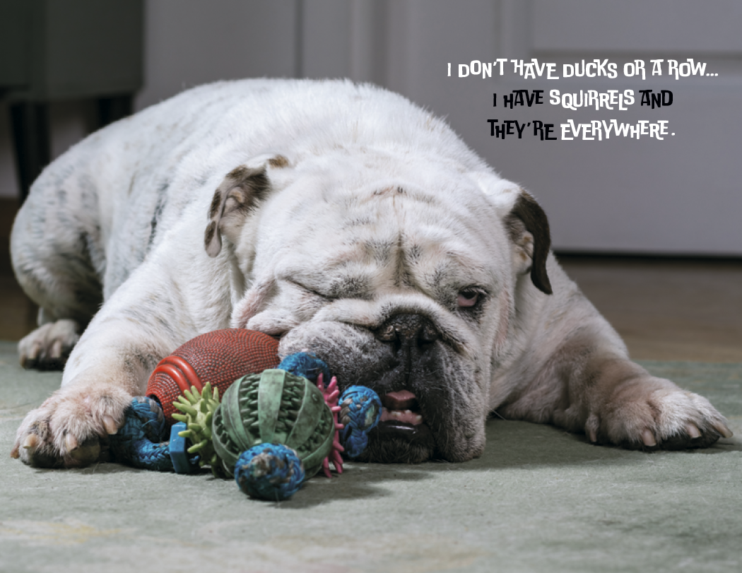 Good Value Pets with Attitude Stapled Calendar-7286