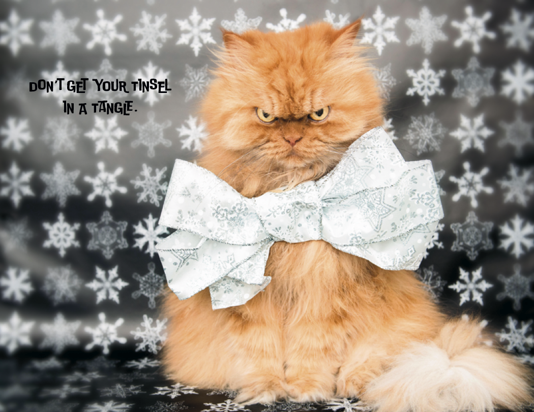 Good Value Pets with Attitude Stapled Calendar-7286