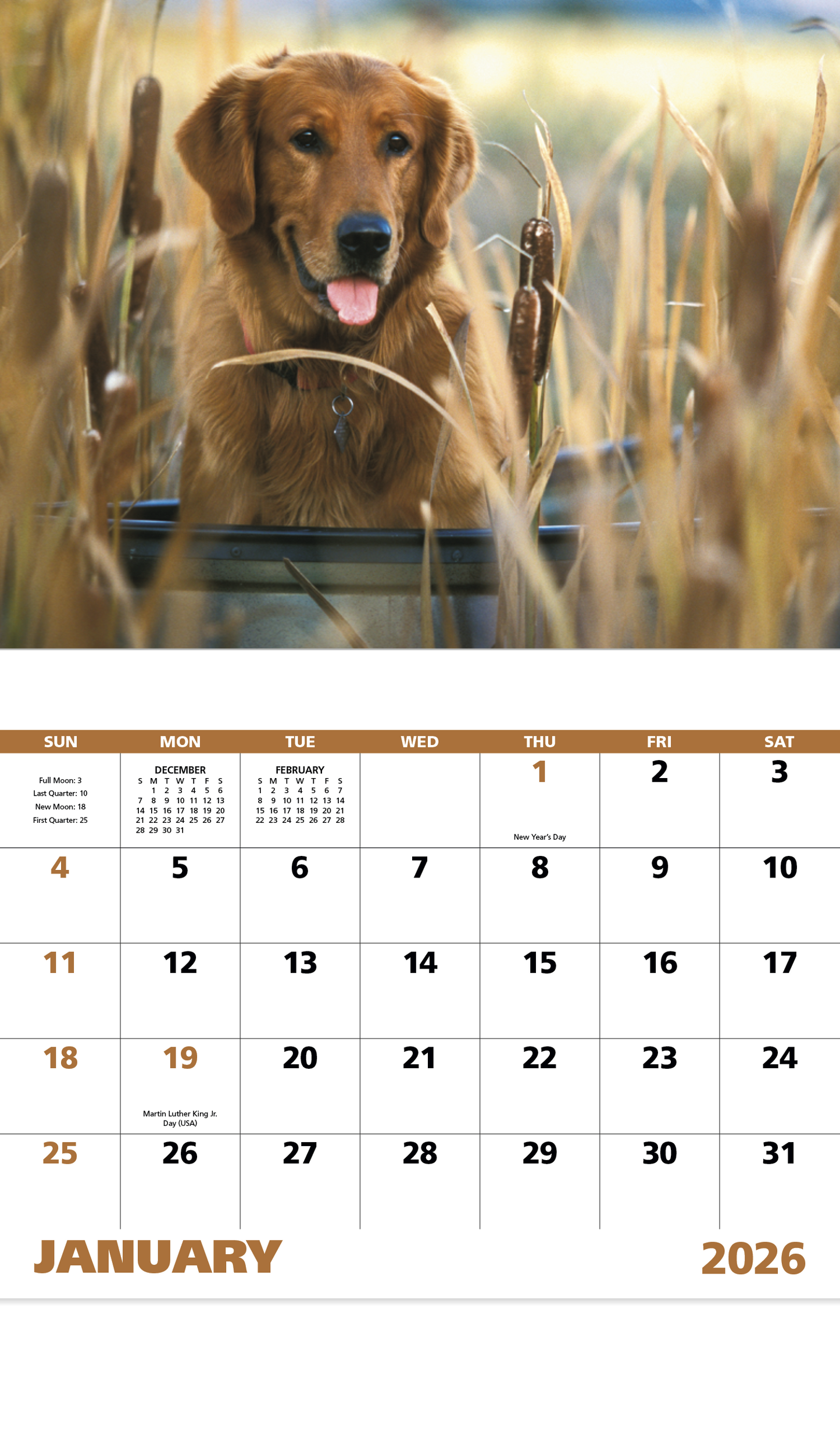 Good Value Sporting Dogs Stapled Calendar-7290