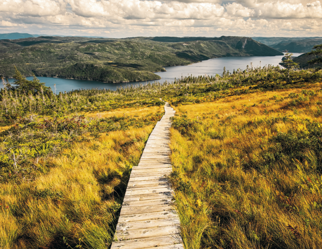 Good Value Canadian National Parks Stapled Calendar-7313
