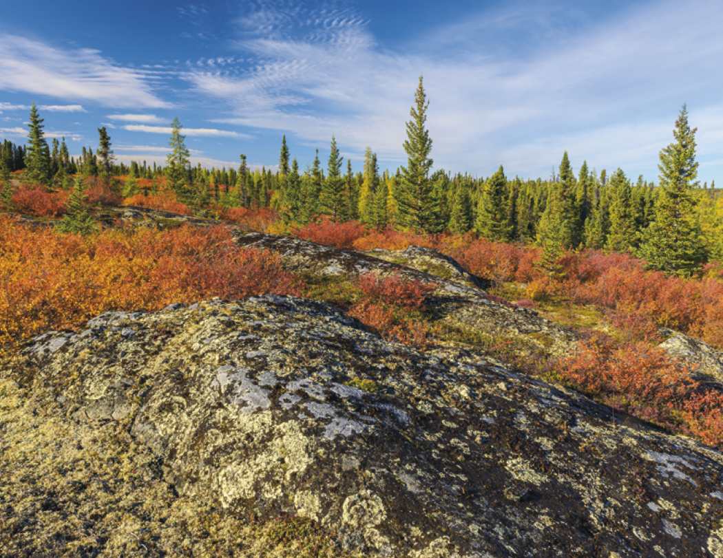Good Value Scenic Canada Window Calendar-7502