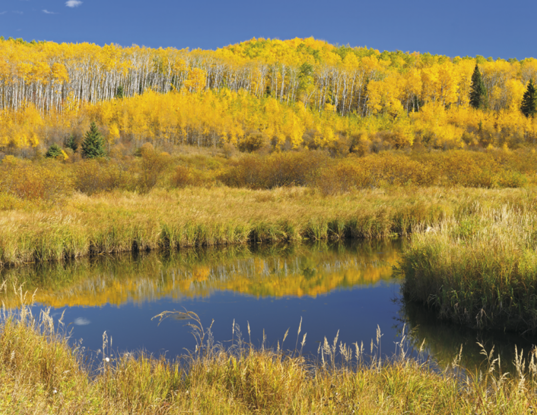 Good Value Scenic Canada Window Calendar-7502
