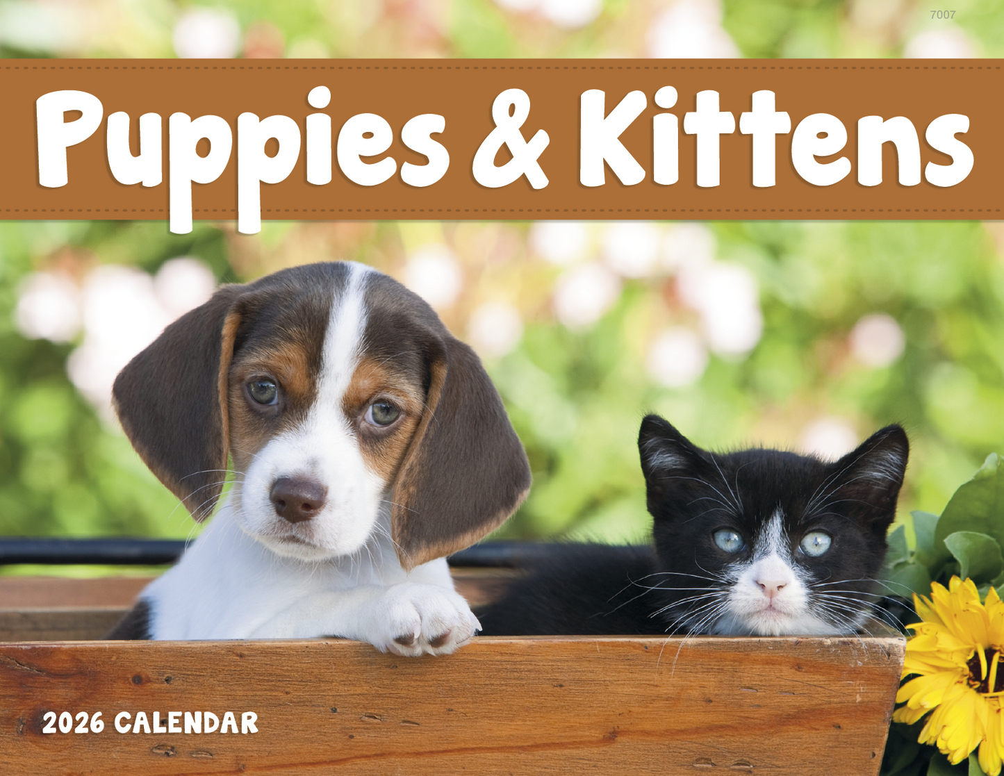 Good Value Puppies Kittens Window Calendar-7507