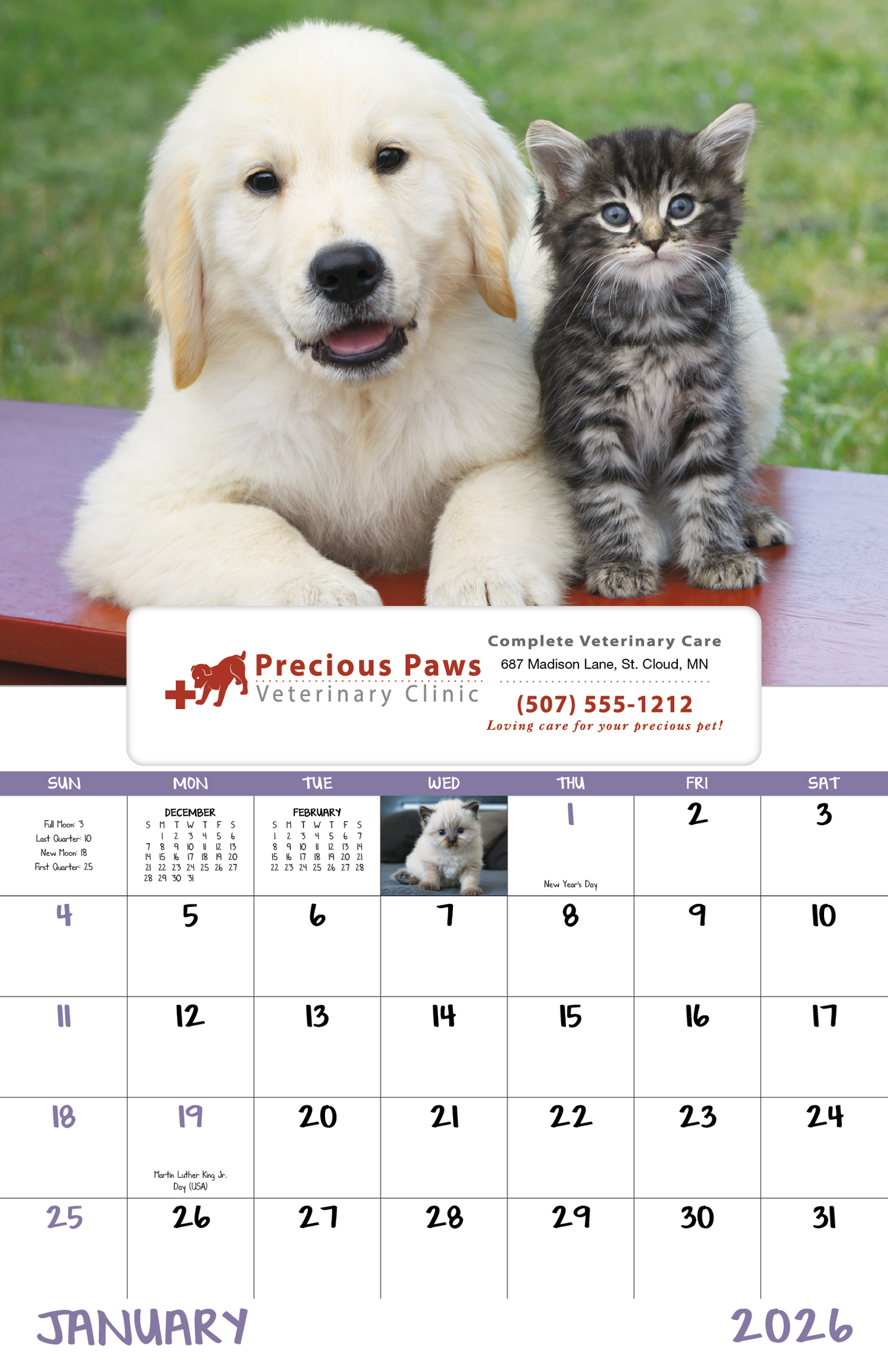 Good Value Puppies Kittens Window Calendar-7507