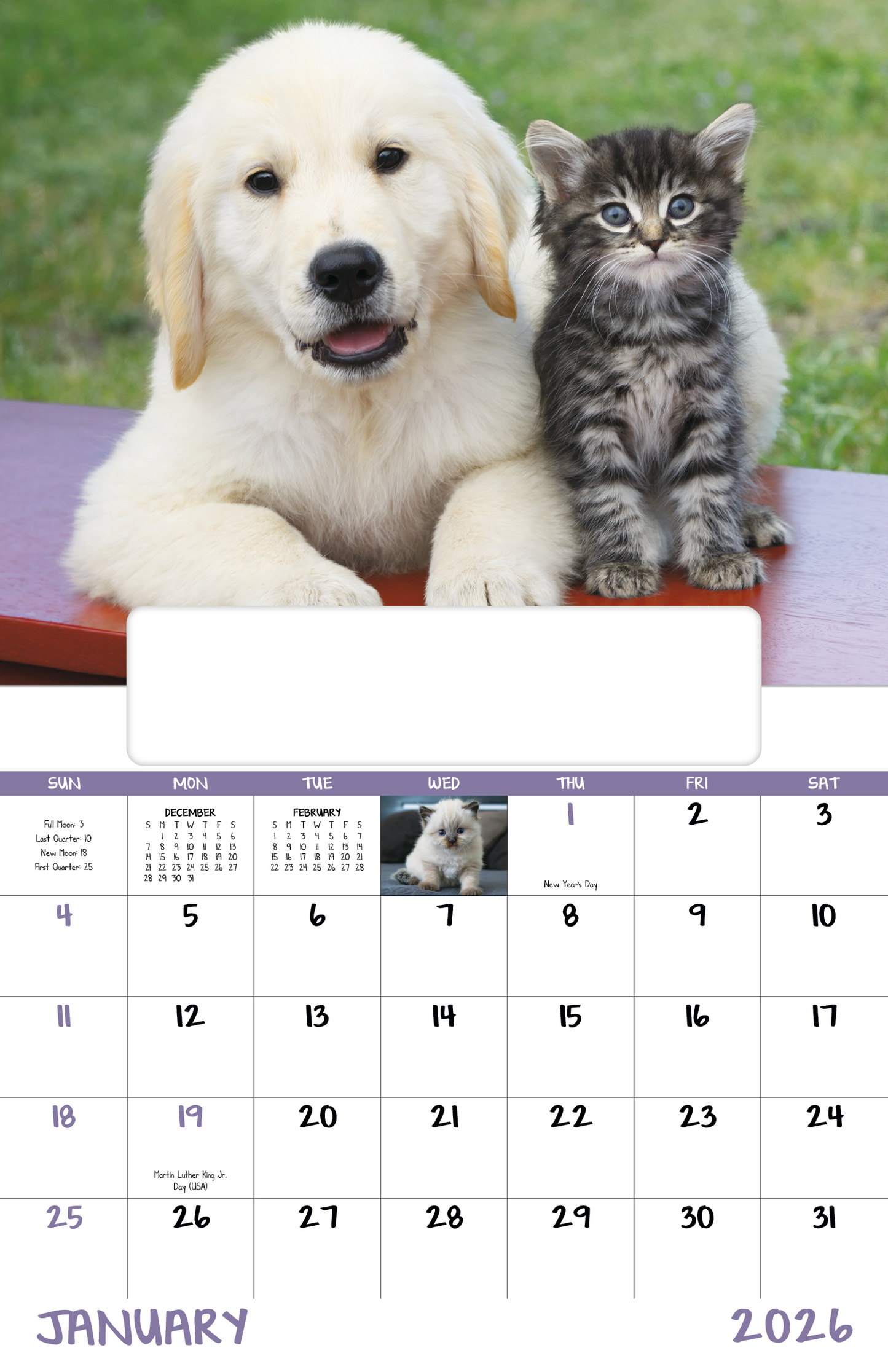 Good Value Puppies Kittens Window Calendar-7507