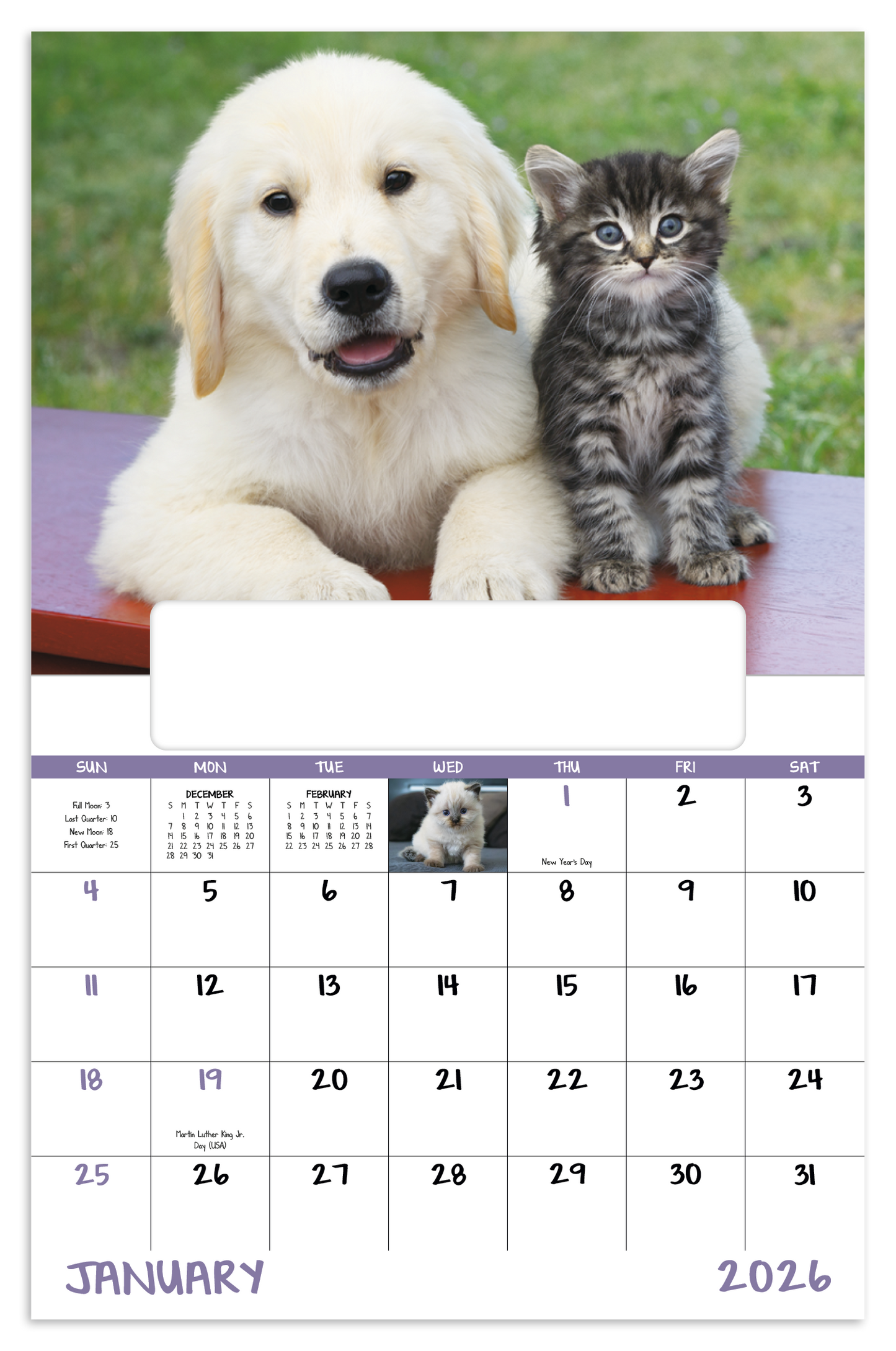 Good Value Puppies Kittens Window Calendar-7507