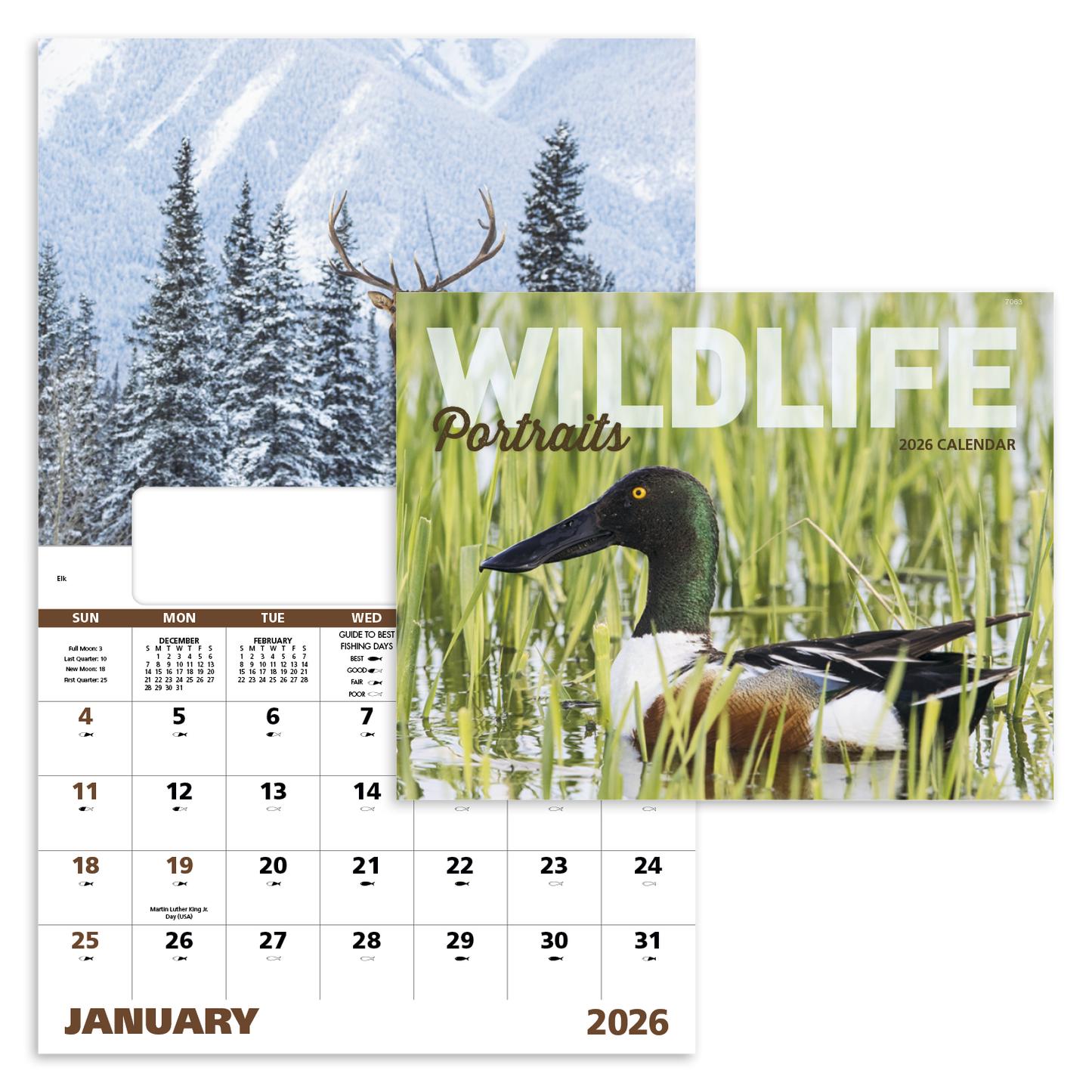 Good Value Wildlife Portraits Window Calendar-7563