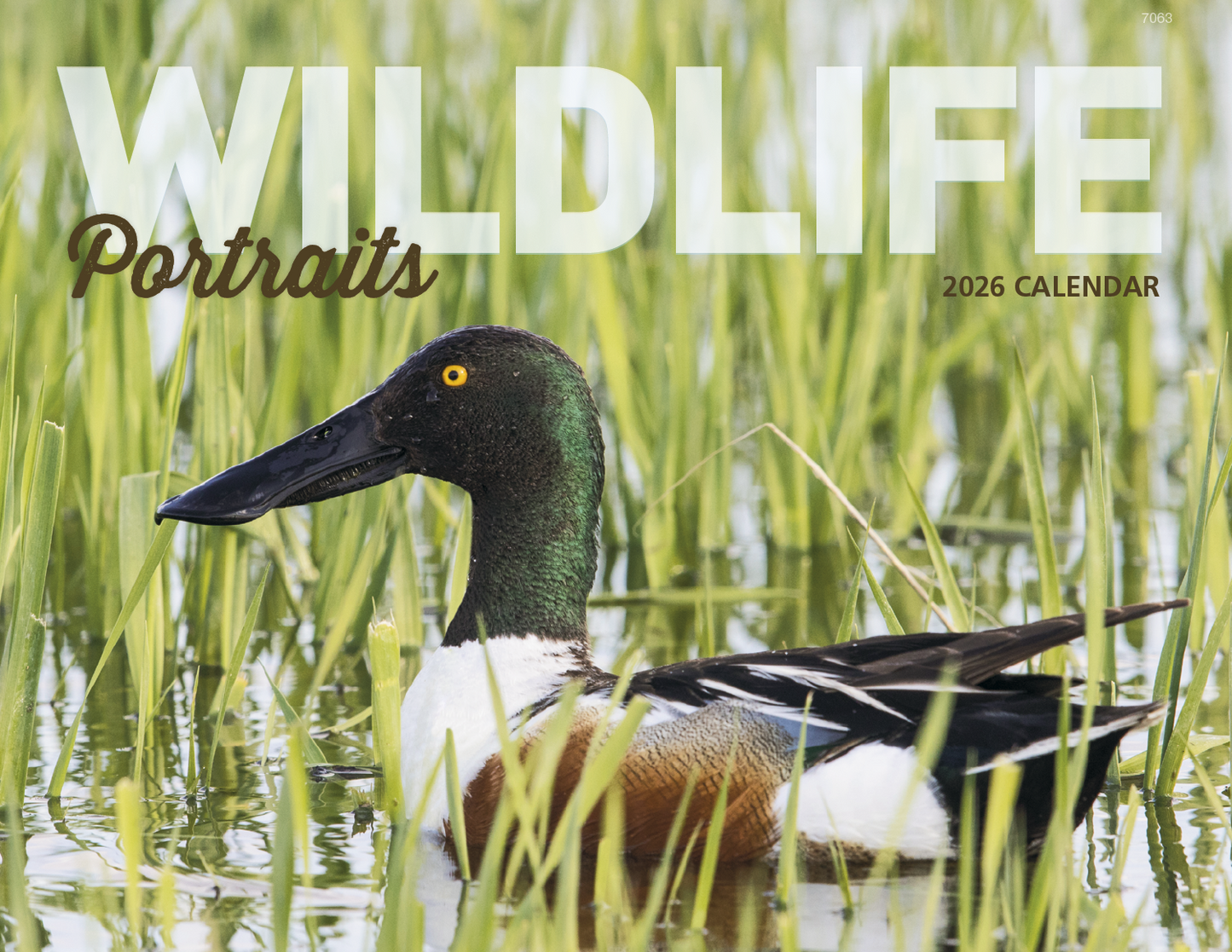 Good Value Wildlife Portraits Window Calendar-7563