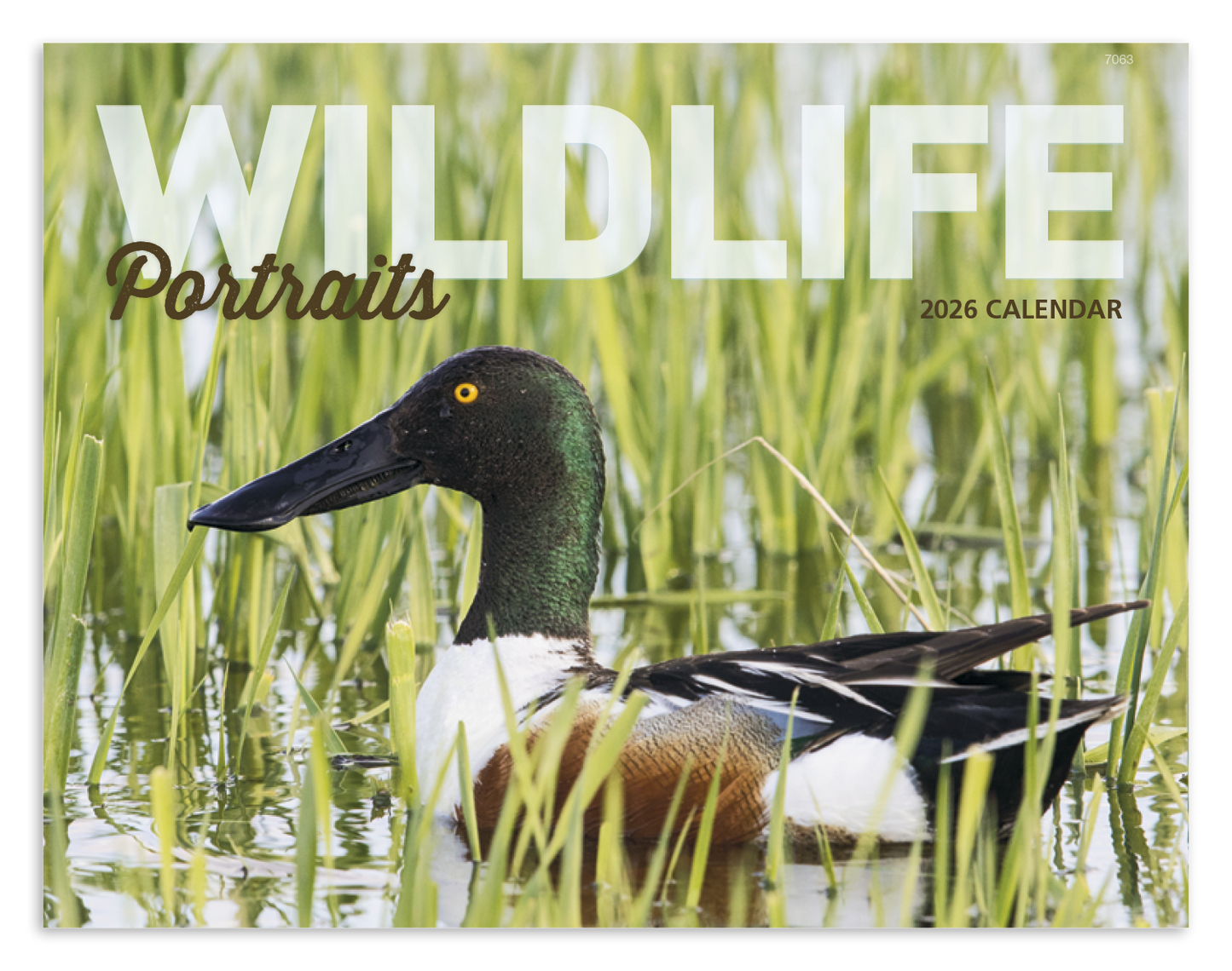 Good Value Wildlife Portraits Window Calendar-7563