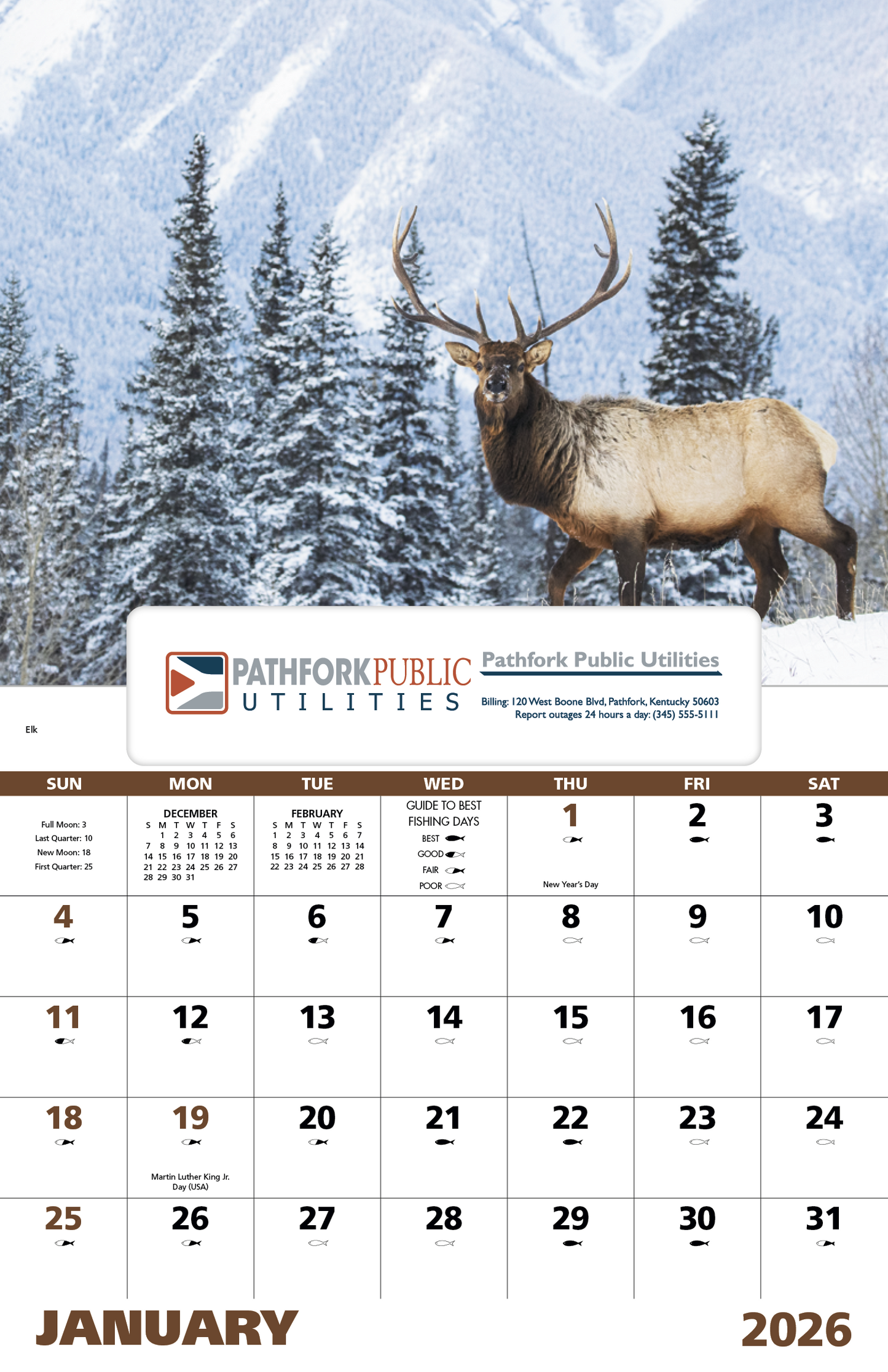 Good Value Wildlife Portraits Window Calendar-7563