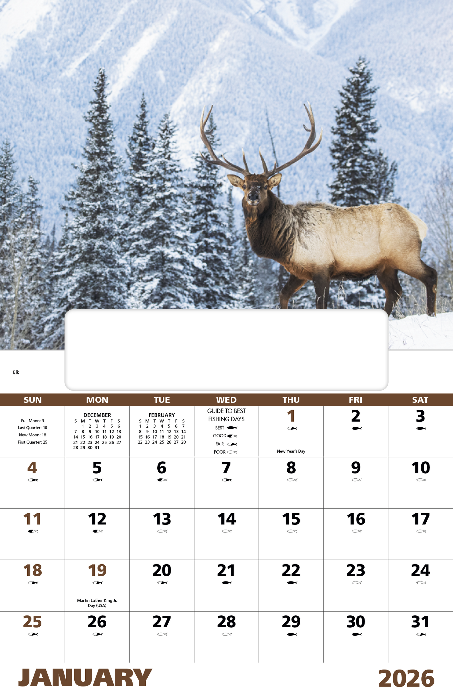 Good Value Wildlife Portraits Window Calendar-7563