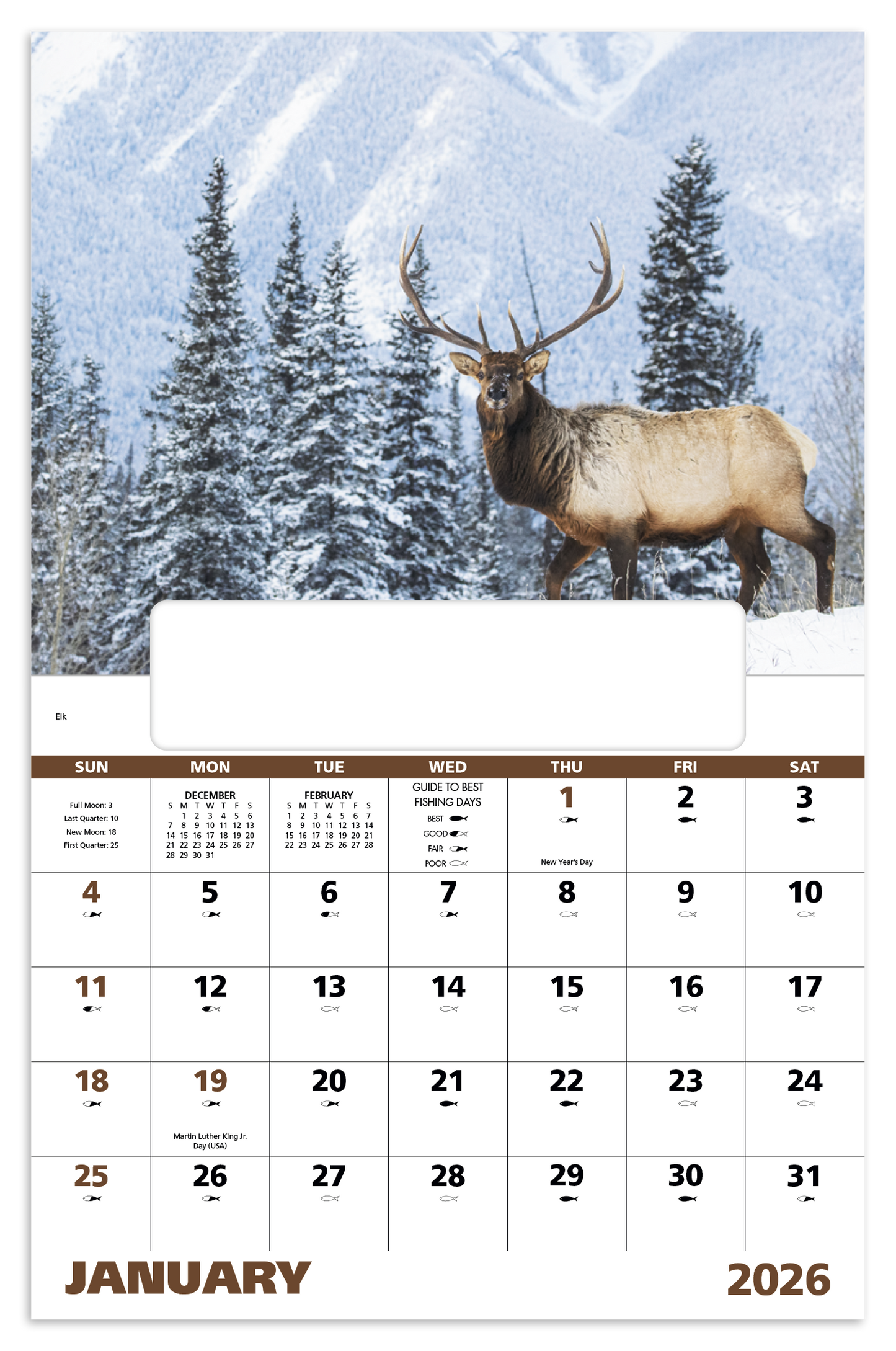 Good Value Wildlife Portraits Window Calendar-7563