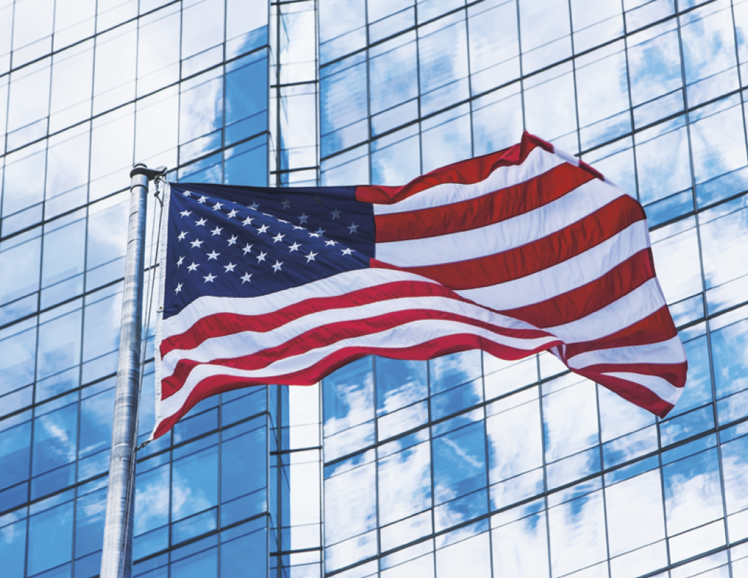 Good Value Celebrate America Window Calendar-7569