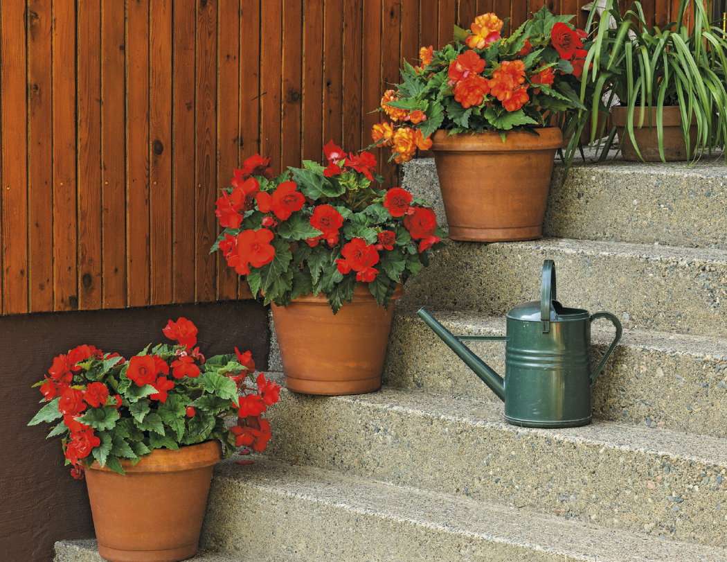 Good Value Garden Walk Window Calendar-7577