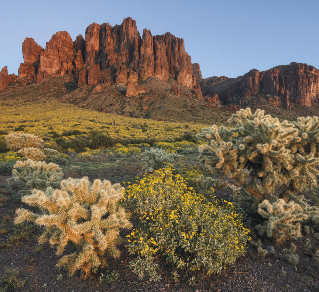 Good Value Landscapes of America Mini Calendar-7702