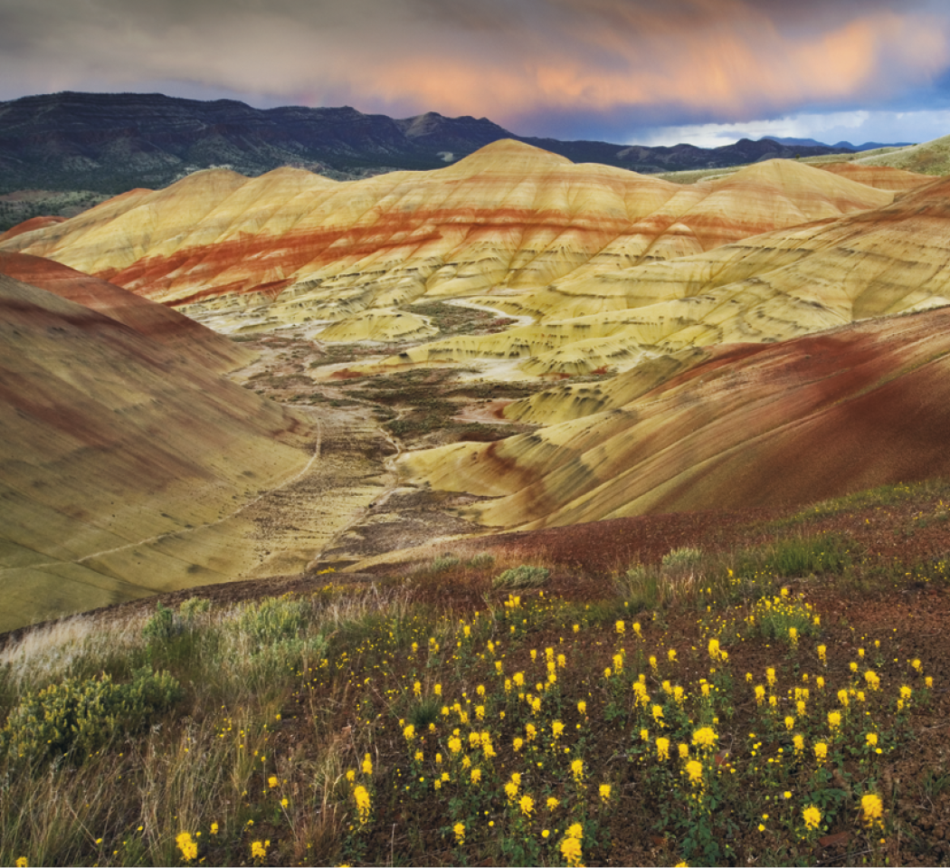 Good Value Landscapes of America Mini Calendar-7702