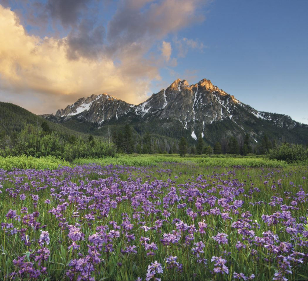 Good Value Landscapes of America Mini Calendar-7702