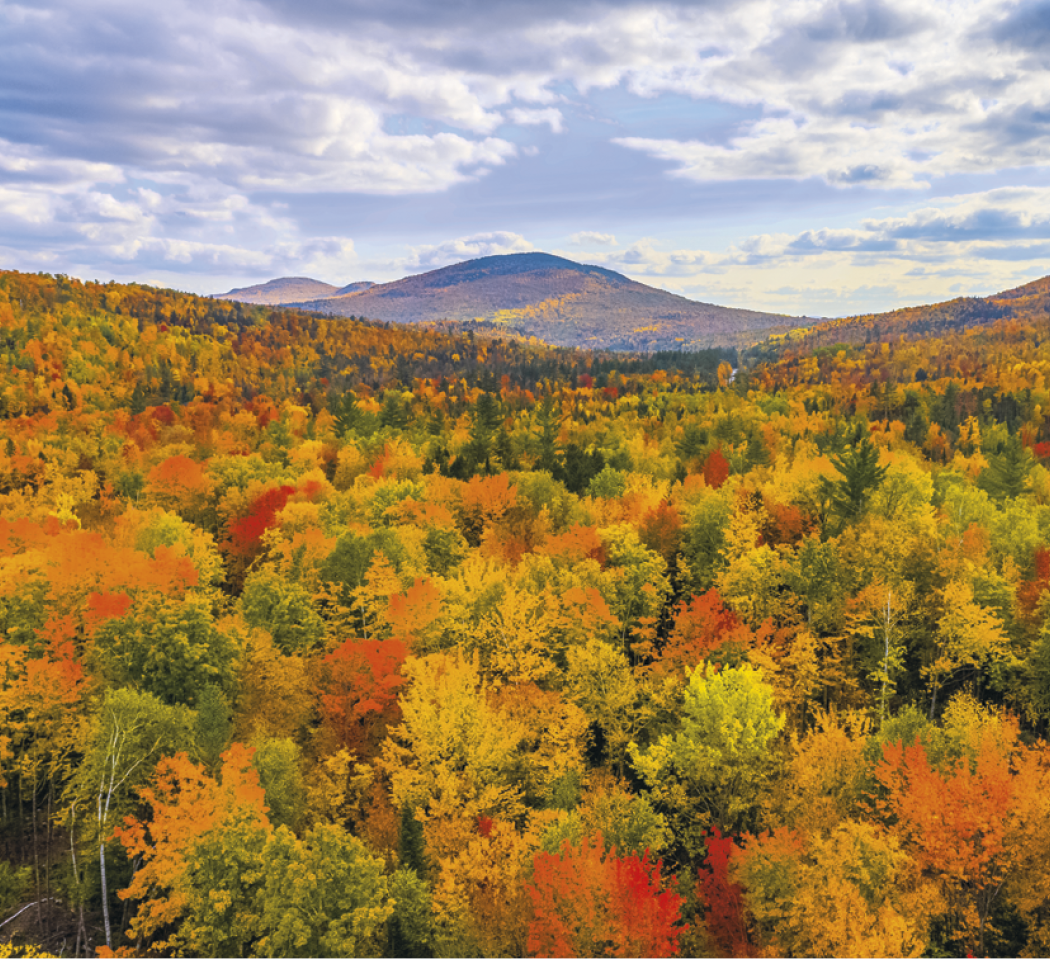 Good Value Landscapes of America Mini Calendar-7702