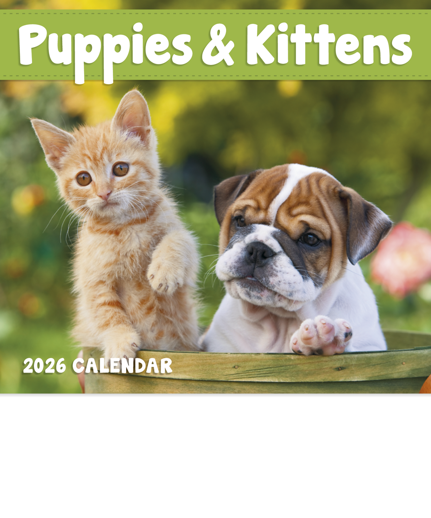 Good Value Puppies Kittens Mini Calendar-7708