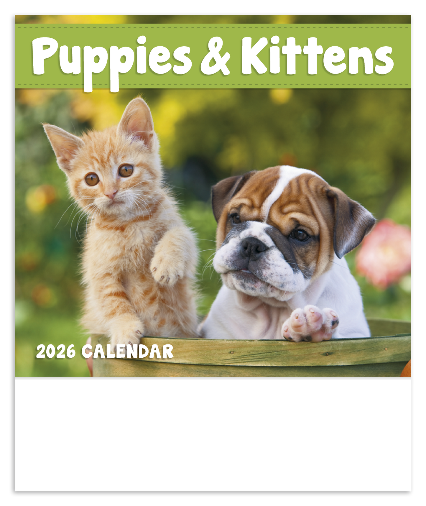 Good Value Puppies Kittens Mini Calendar-7708