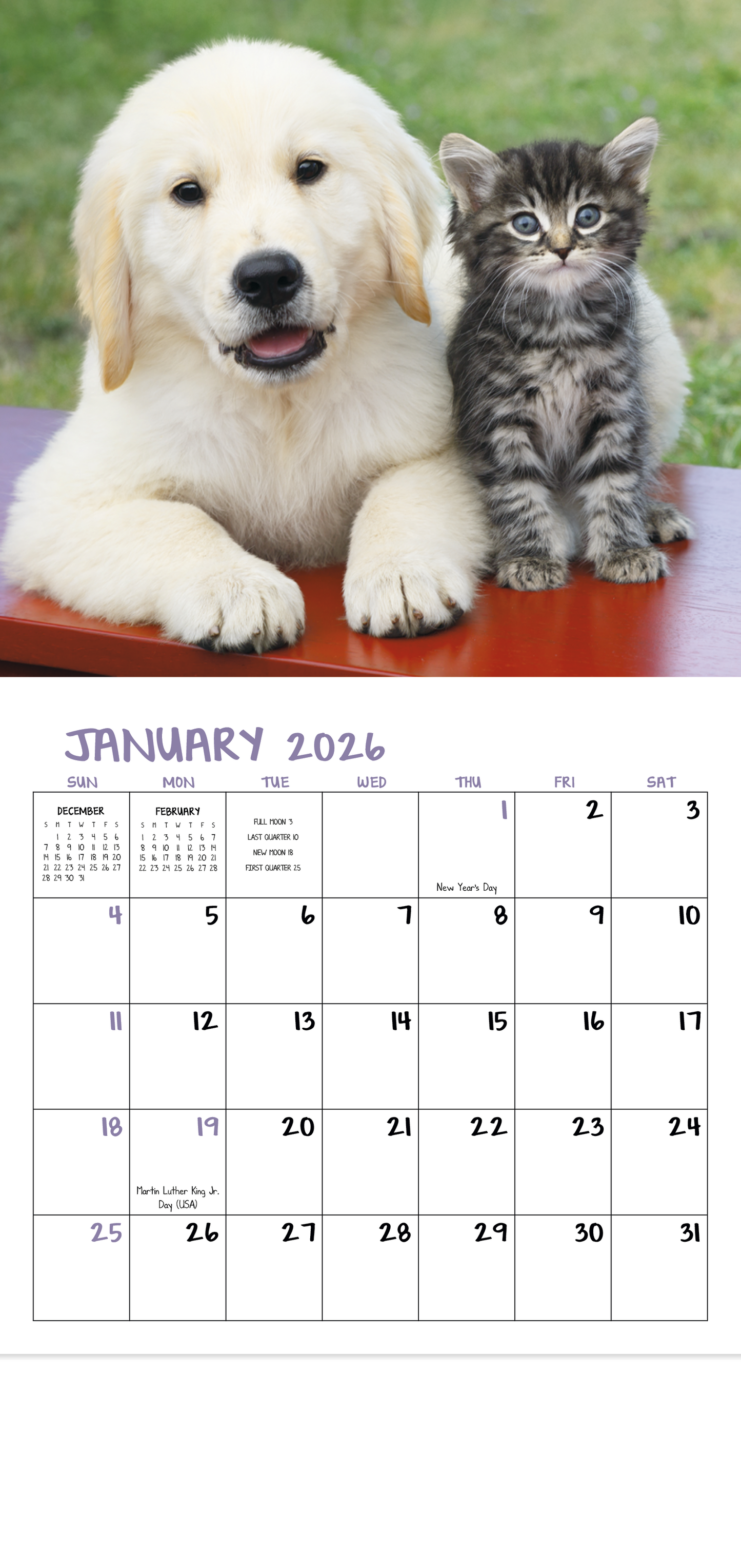 Good Value Puppies Kittens Mini Calendar-7708