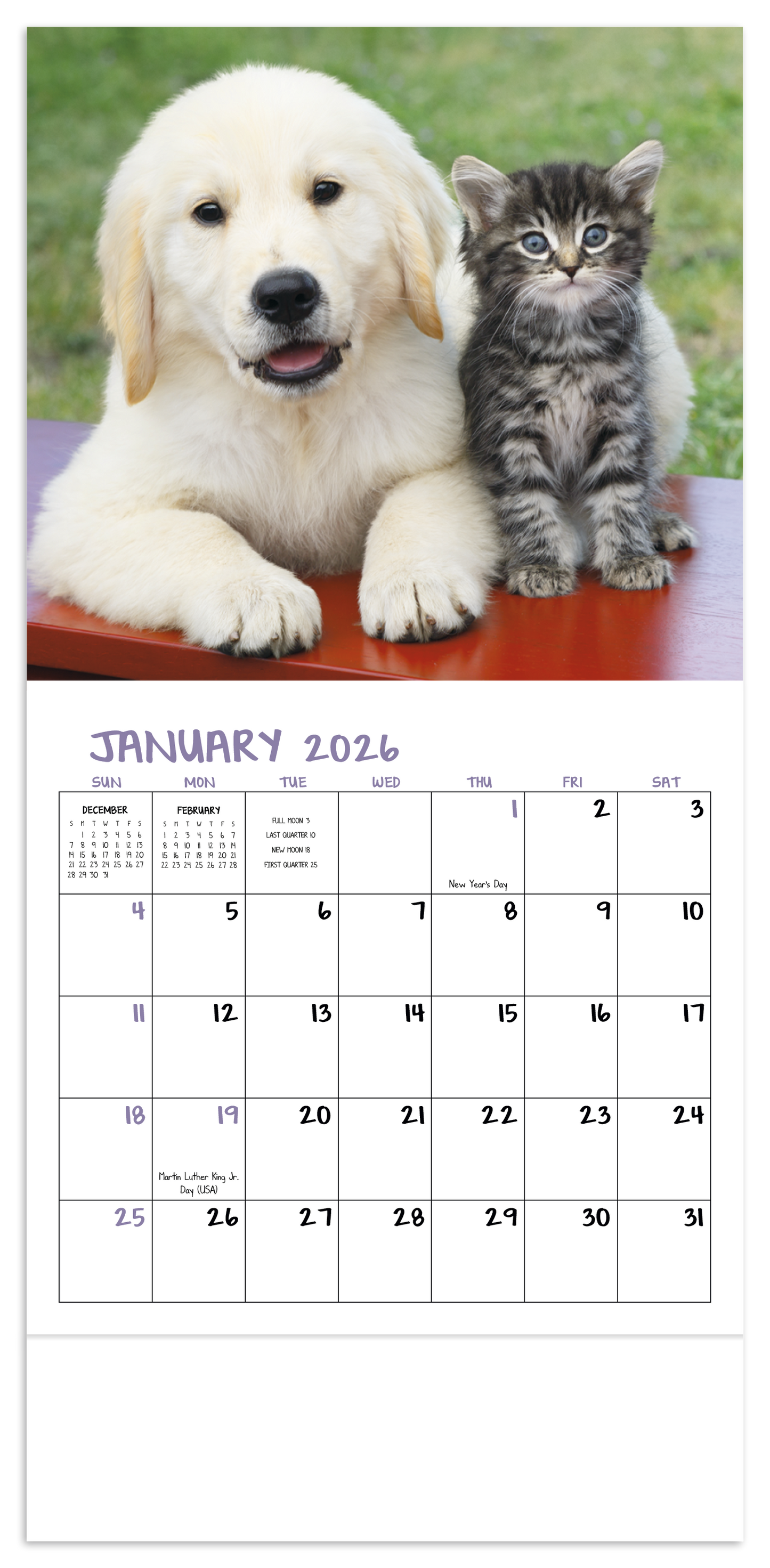 Good Value Puppies Kittens Mini Calendar-7708