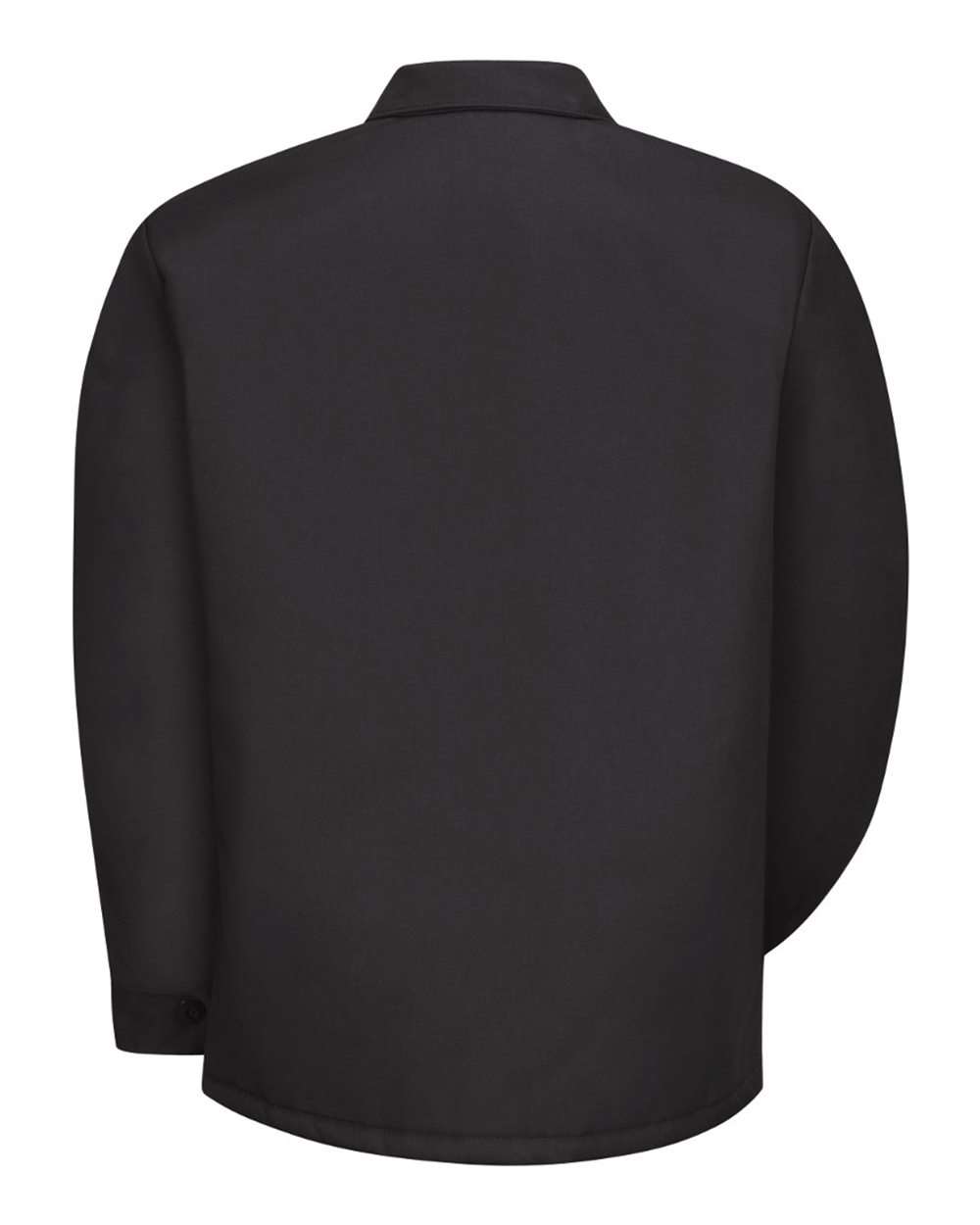 Image for 79950_b_fl.jpg