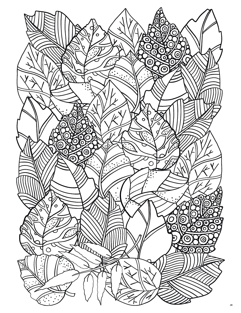 Good Value Adult Coloring Book Planner-8200