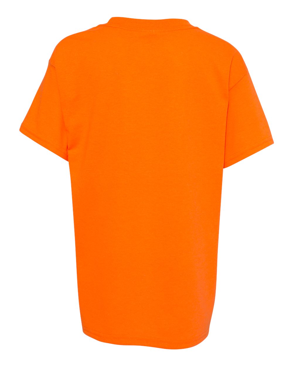 Image for 83096_b_fl.jpg
