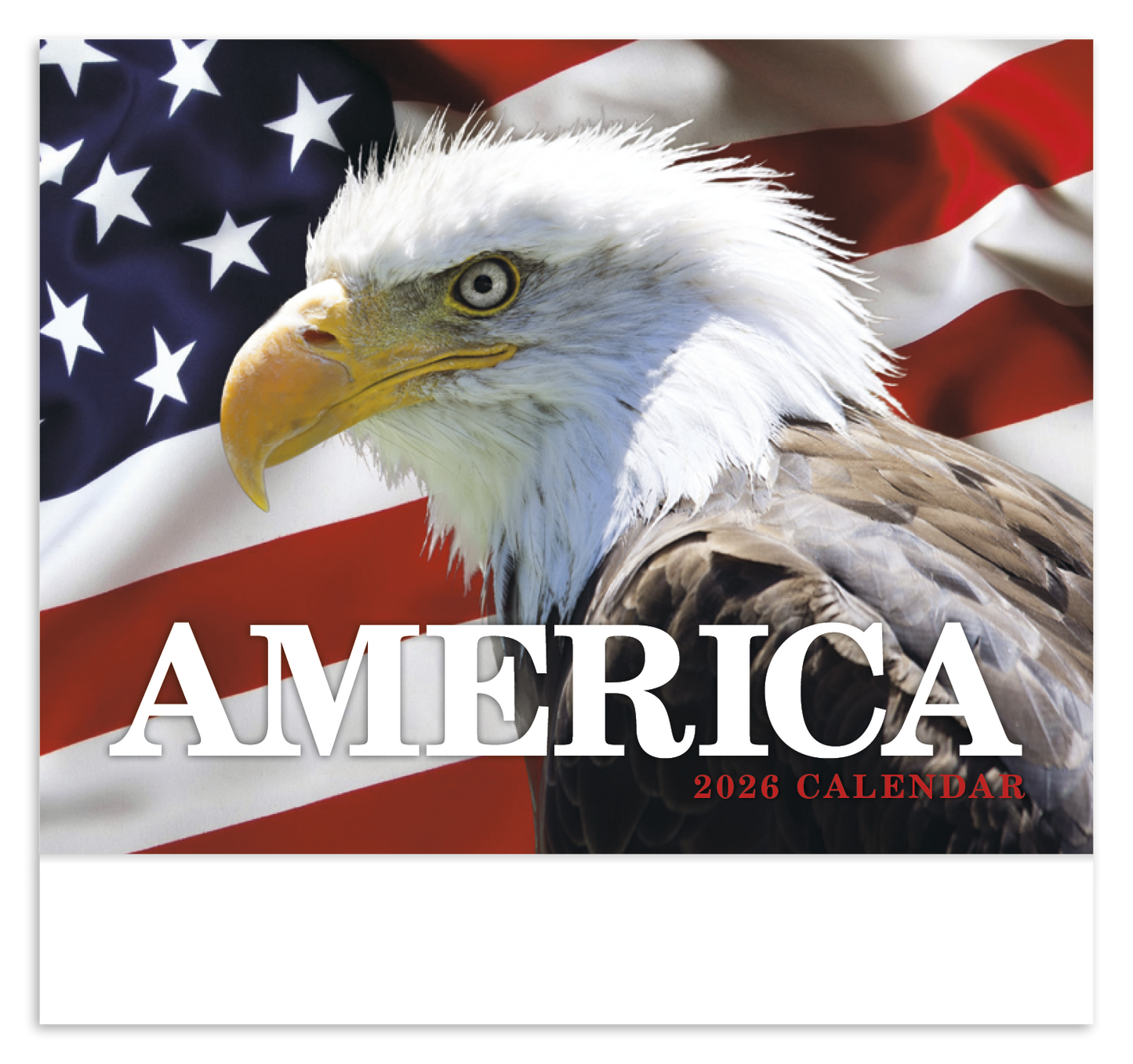 HotLine Products America Appointment Calendar Stapled-857