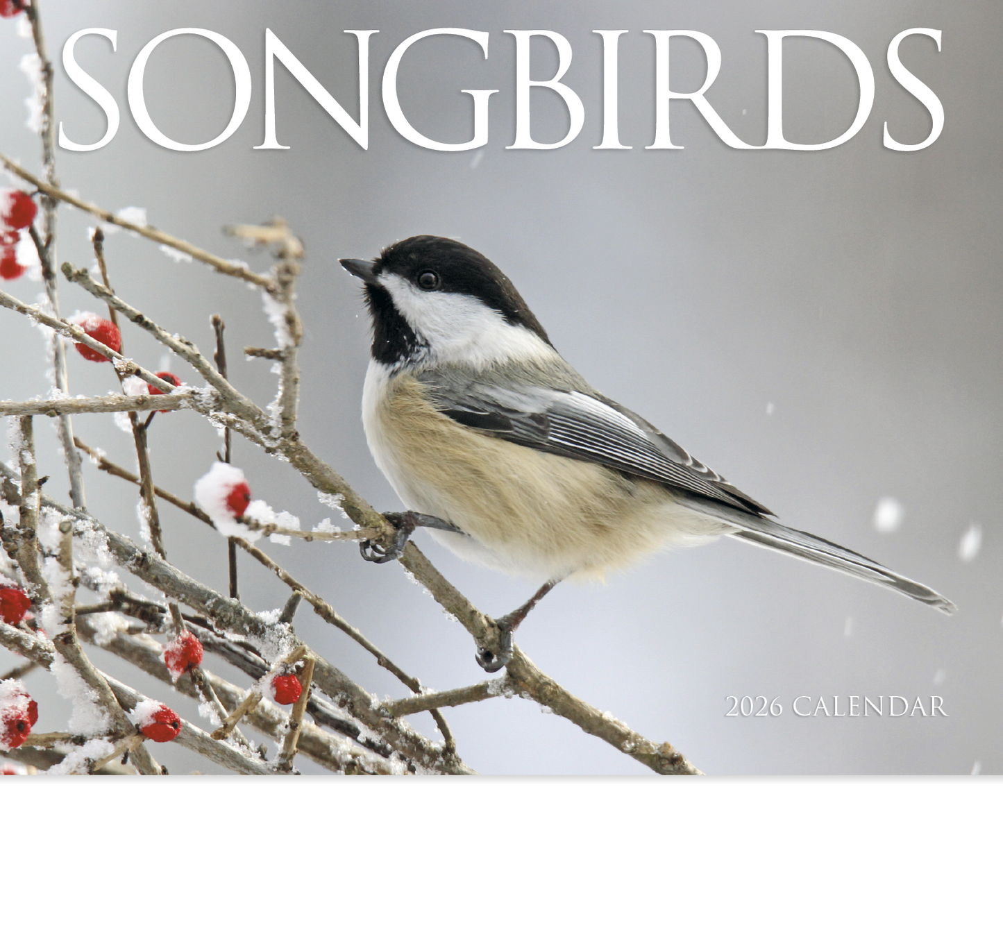 HotLine Products Songbirds Appointment Calendar Stapled-875