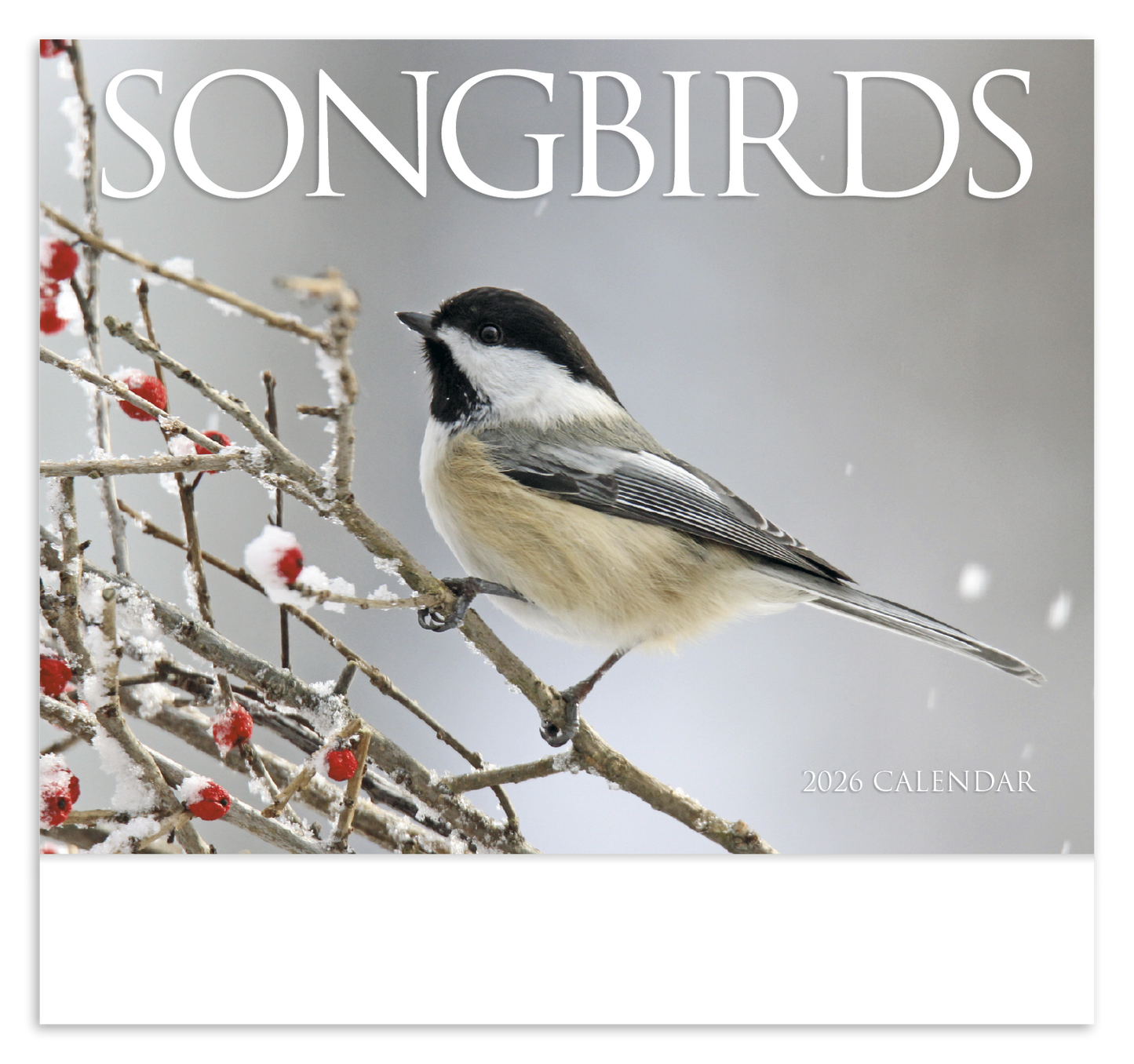 HotLine Products Songbirds Appointment Calendar Stapled-875