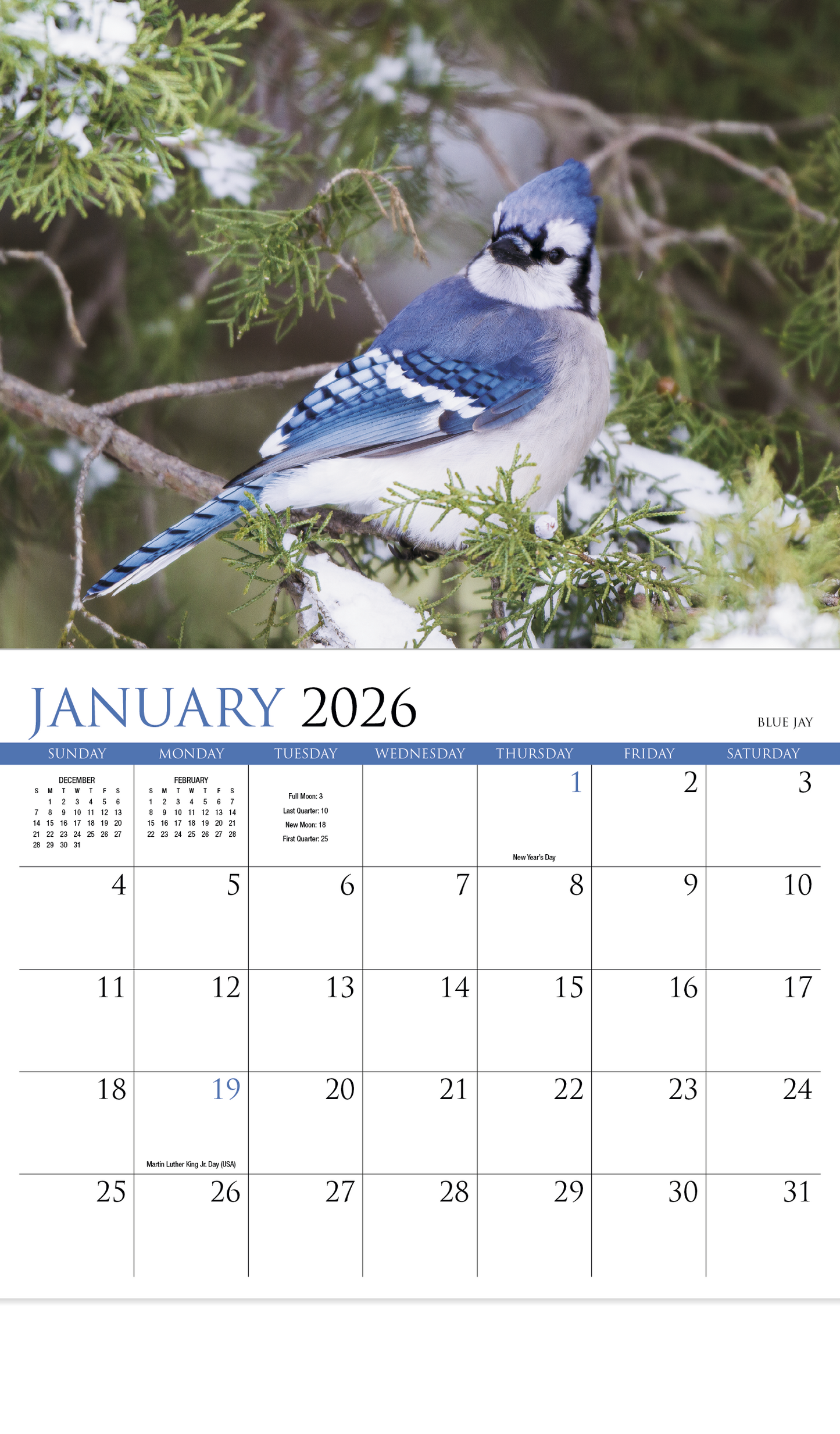 HotLine Products Songbirds Appointment Calendar Stapled-875