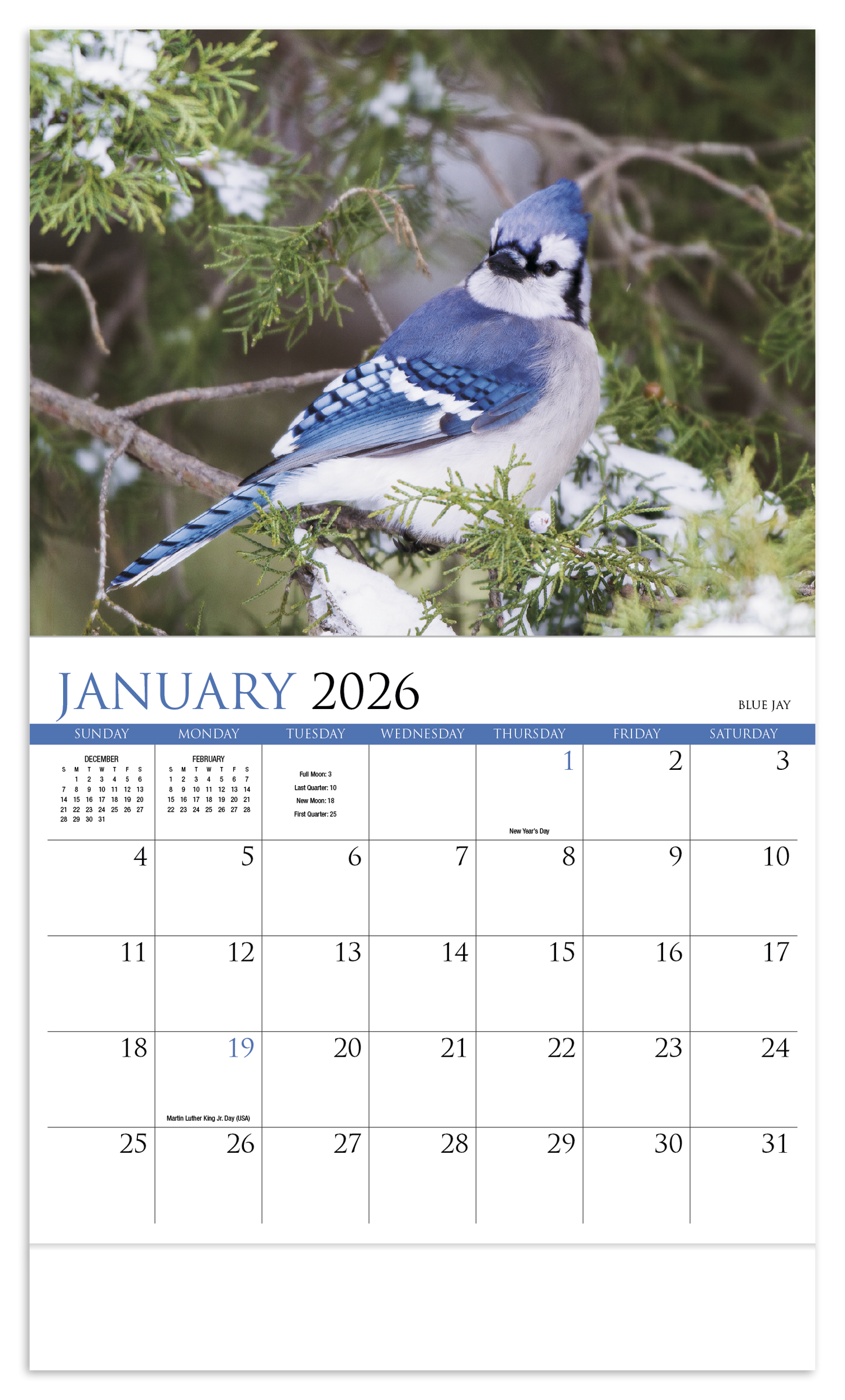 HotLine Products Songbirds Appointment Calendar Stapled-875