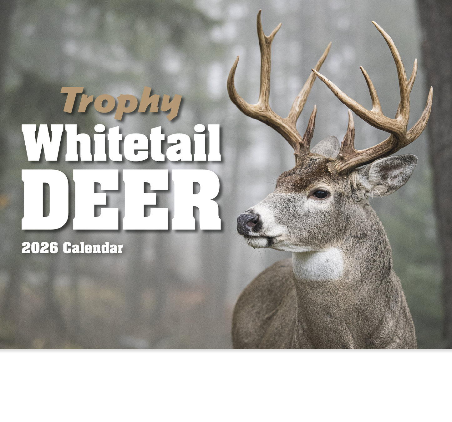 HotLine Products Trophy Whitetail Deer Appointment Calendar Stapled-896