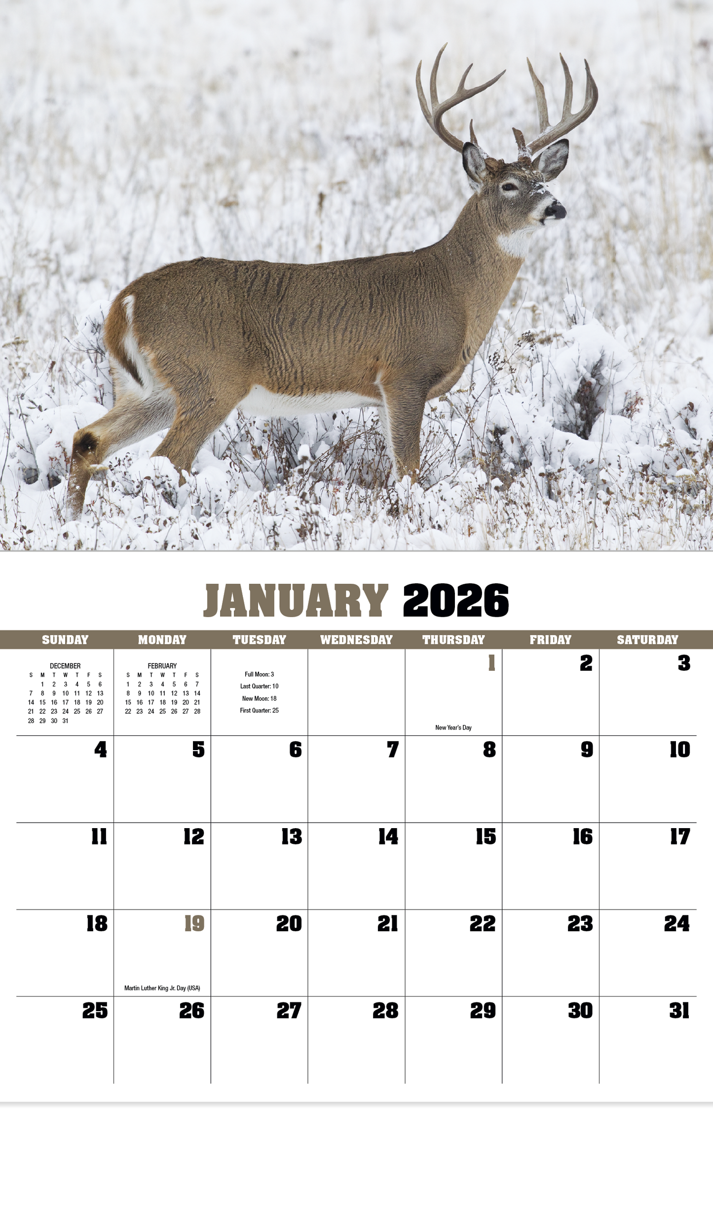 HotLine Products Trophy Whitetail Deer Appointment Calendar Stapled-896