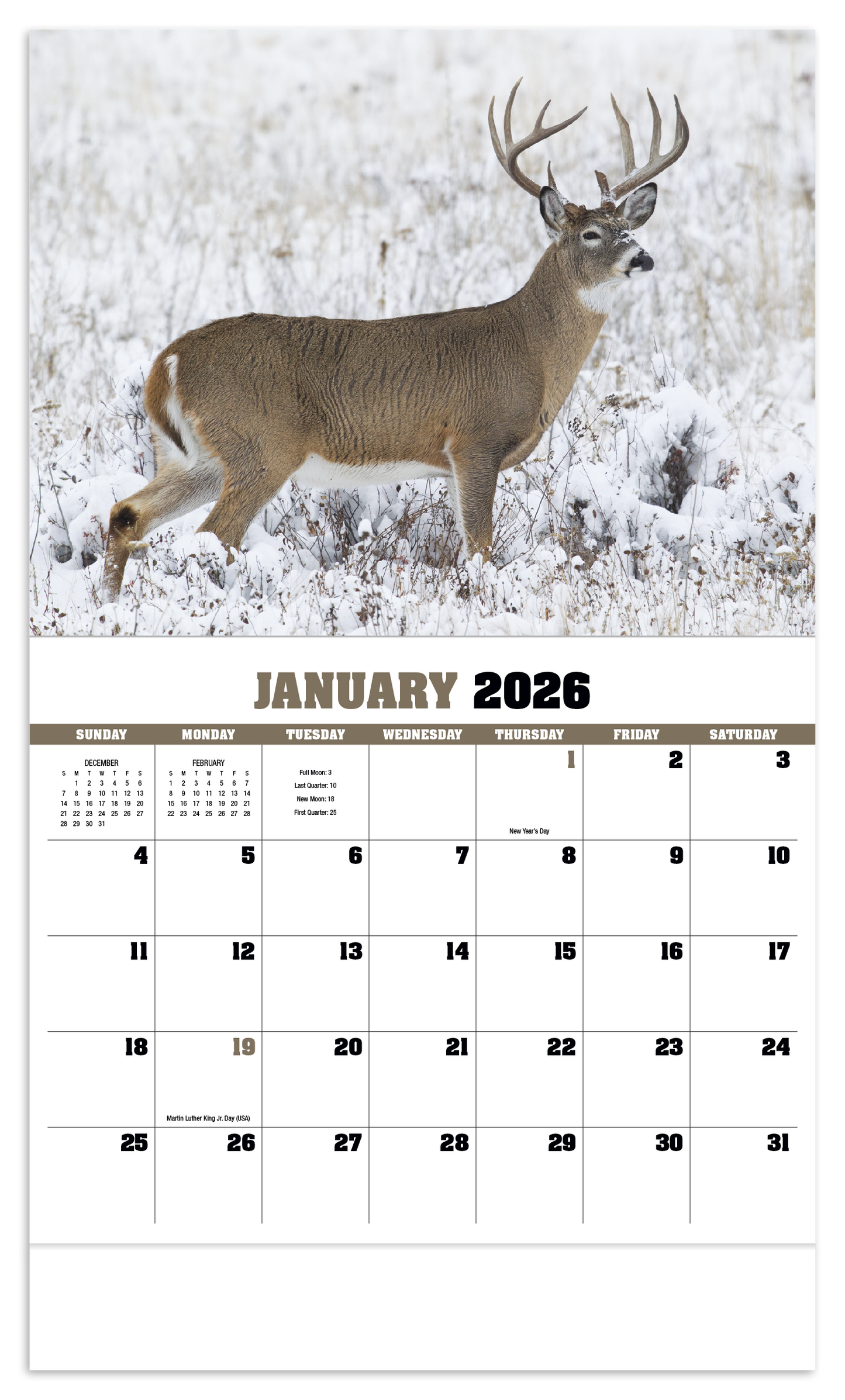 HotLine Products Trophy Whitetail Deer Appointment Calendar Stapled-896