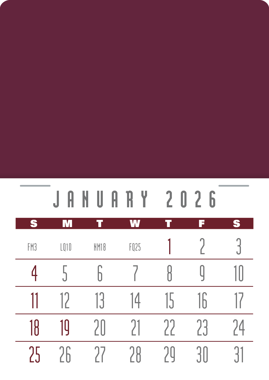 Triumph Calendars PressNStick Contemporary Calendar-V7898