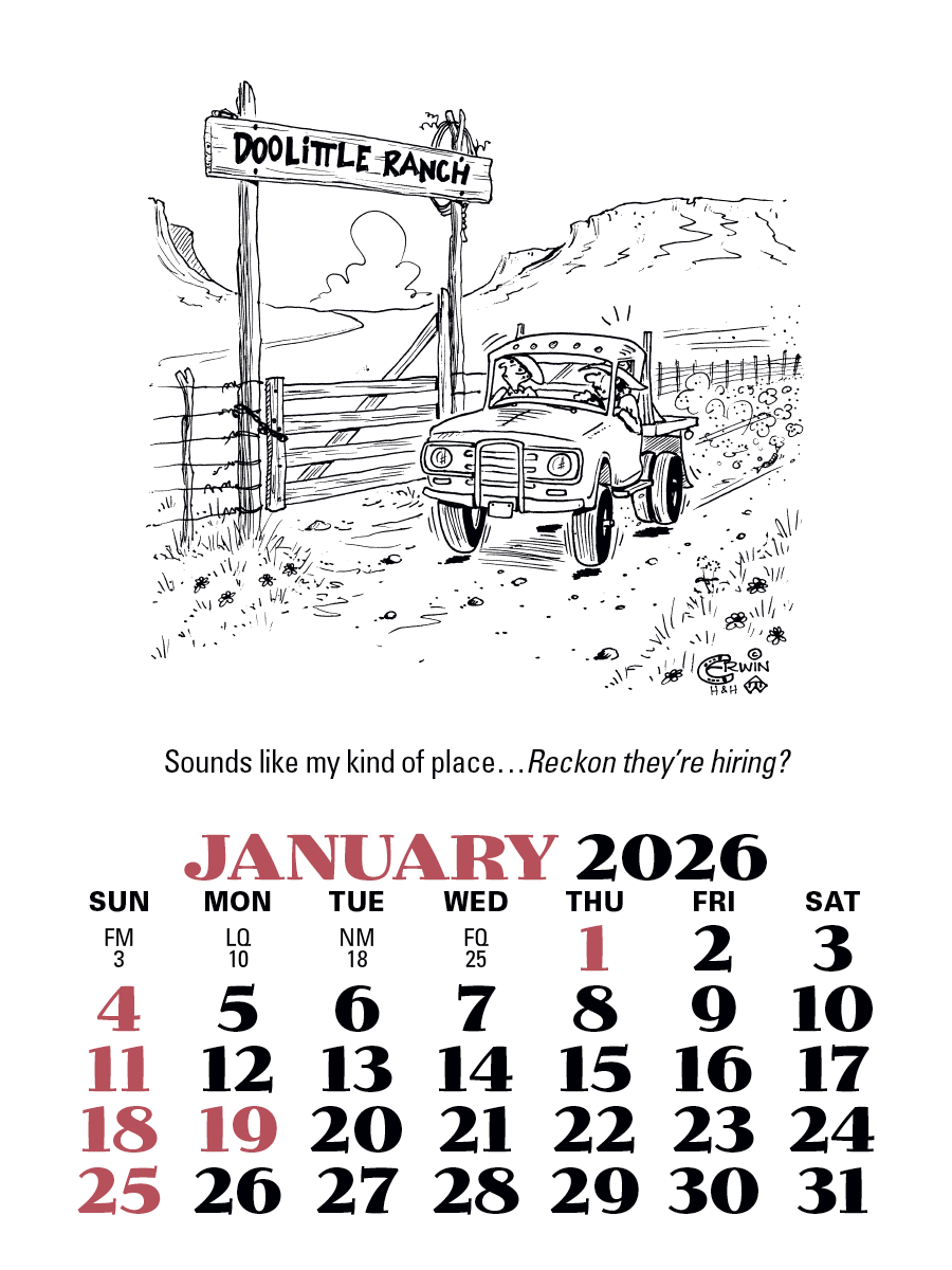 Triumph Calendars PressNStick Cowboy Calendar-V8879