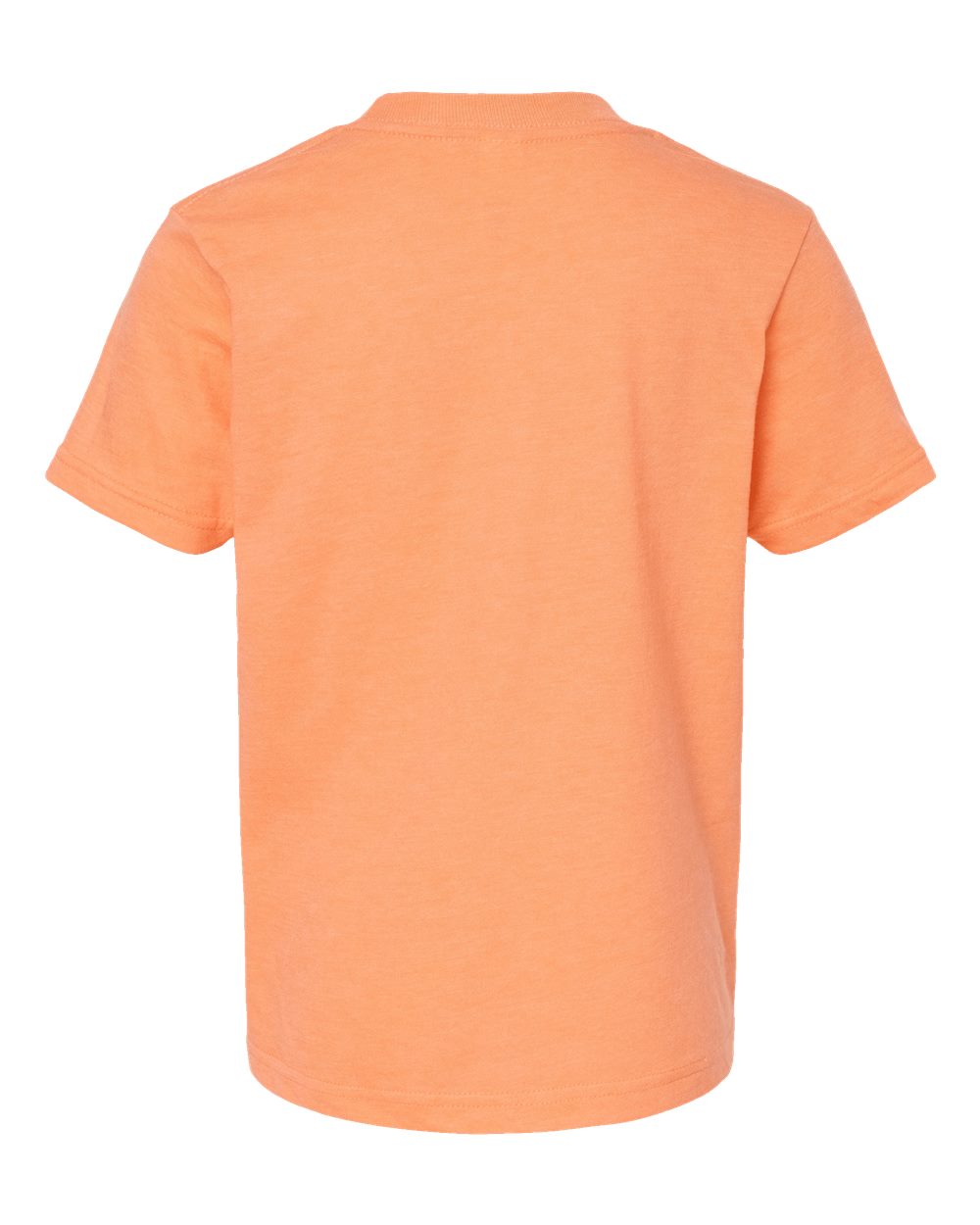 Image for 101069_b_fl.jpg