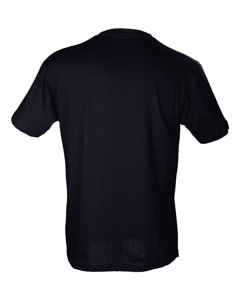 Image for 101211_b_fl.jpg