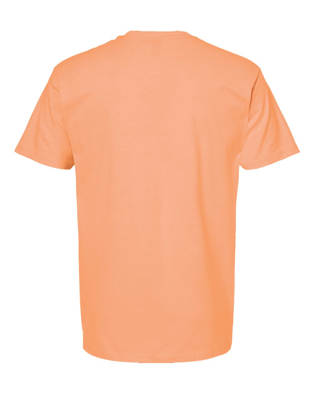 Image for 101330_b_fl.jpg