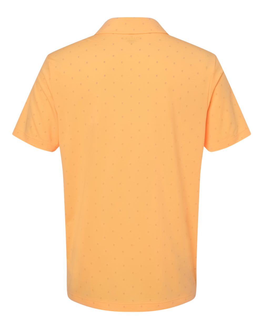 Image for 102763_b_fl.jpg