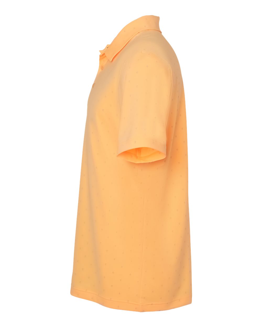 Image for 102763_d_fl.jpg