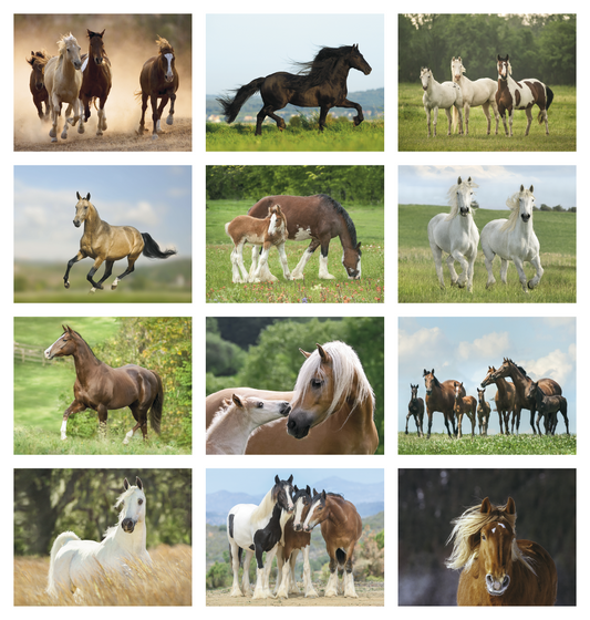 Triumph Calendars Horses Calendar-1052
