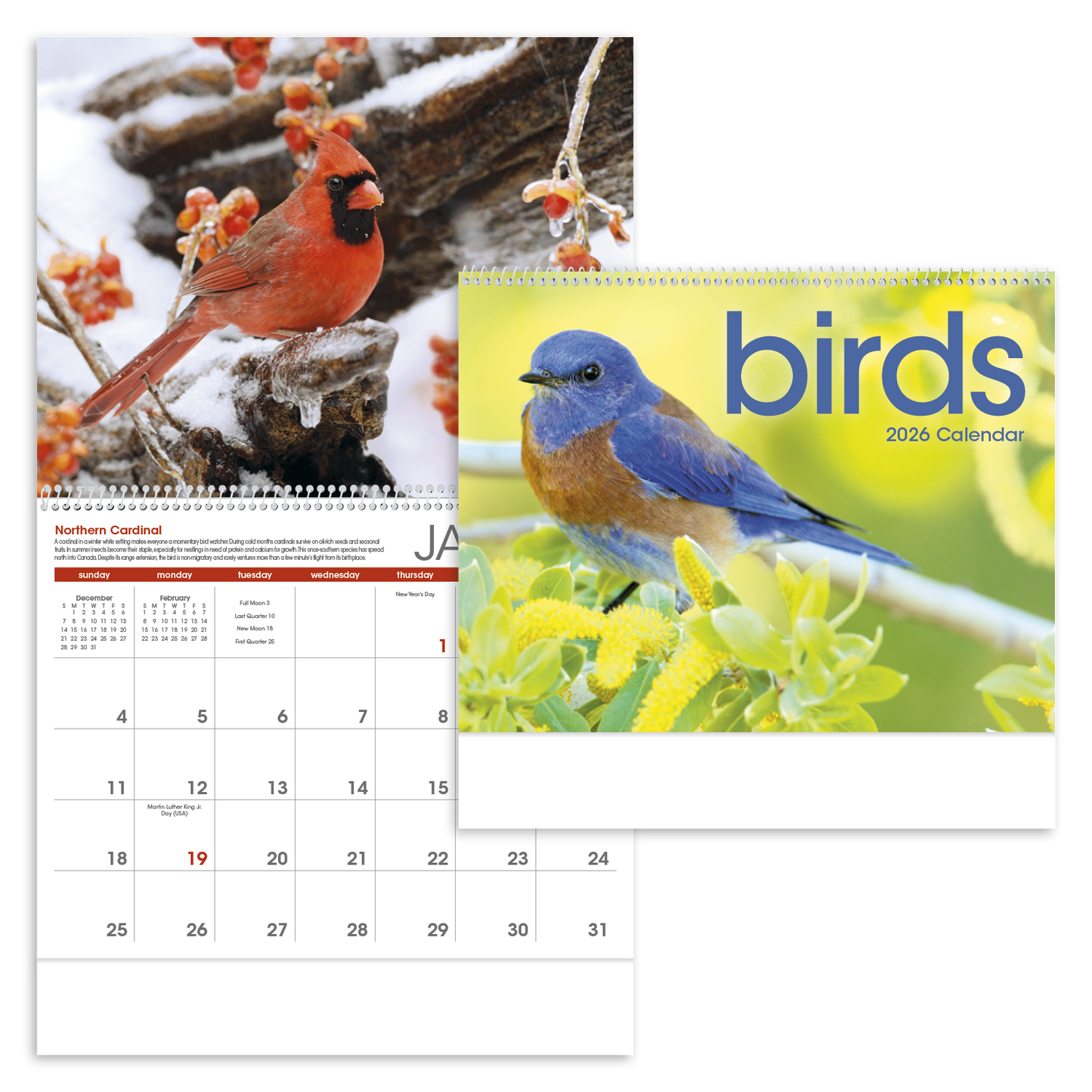 Triumph Calendars Birds Calendar-1053